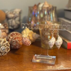 Seashell Dangle Earrings - Natural Cream & Brown